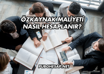 Özkaynak Maliyeti Nasıl Hesaplanır?