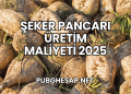 Şeker Pancarı Üretim Maliyeti 2025