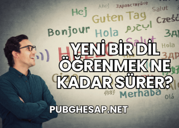 Yeni Bir Dil Öğrenmek Ne Kadar Sürer?