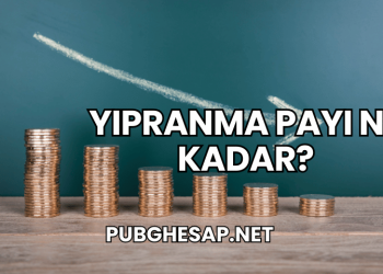 Yıpranma Payı Ne Kadar?