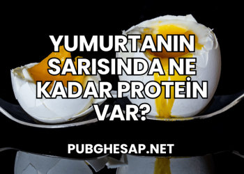 Yumurtanın Sarısında Ne Kadar Protein Var?