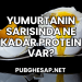 Yumurtanın Sarısında Ne Kadar Protein Var?